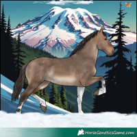 Horse Color:White Spotted Bay Dun