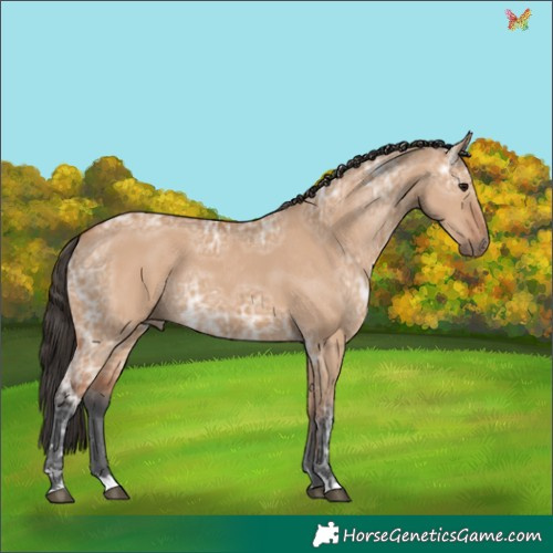 Horse Color:Bay Ice Dun 