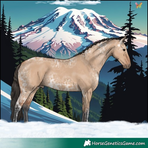 Horse Color:Bay Ice Dun 