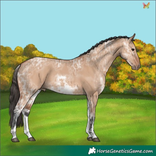 Horse Color:White Spotted Bay Ice Dun 