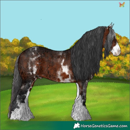 Horse Color:White Spotted Brown Ice 