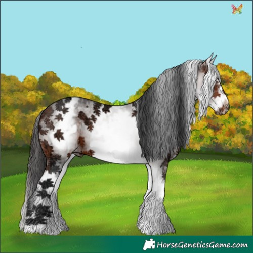 Horse Color:White Spotted Brown Ice Frame 