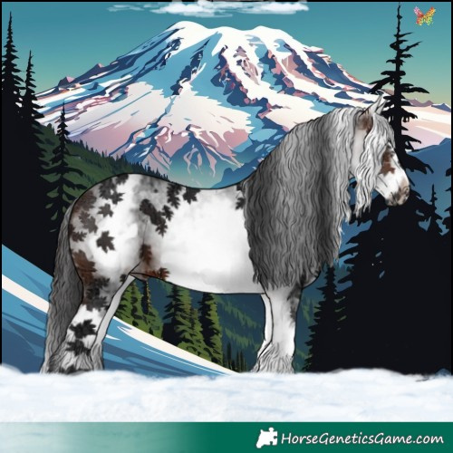 Horse Color:White Spotted Brown Ice Frame 
