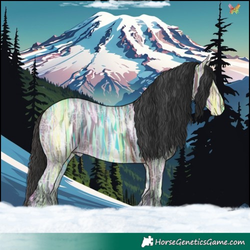 Horse Color:Bay Ice 