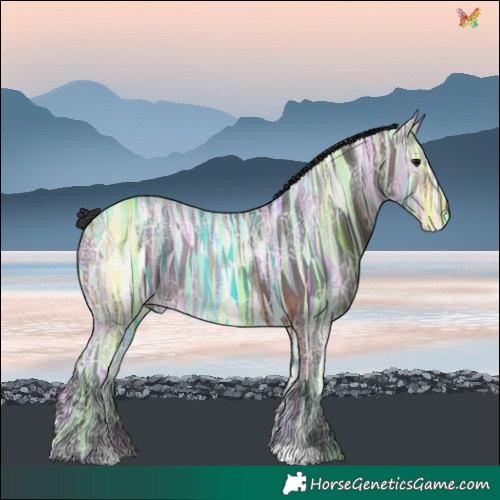 Horse Color:Bay Ice 