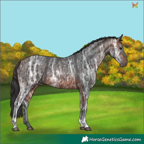 Horse Color:Bay Ice Tobiano 