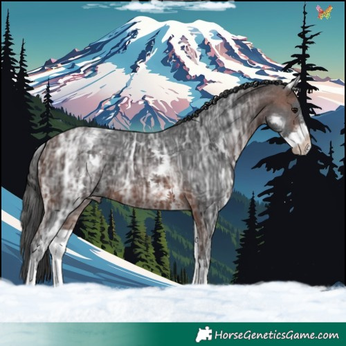 Horse Color:White Spotted Brown Ice Tobiano 