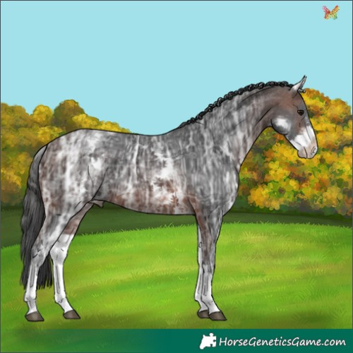 Horse Color:White Spotted Brown Ice Tobiano 