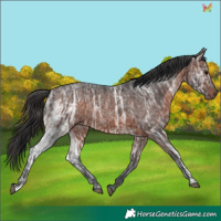 Horse Color:Brown Ice 