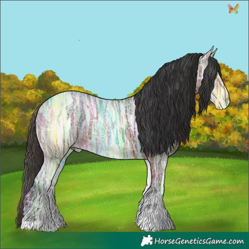 Horse Color:White Spotted Bay Ice 