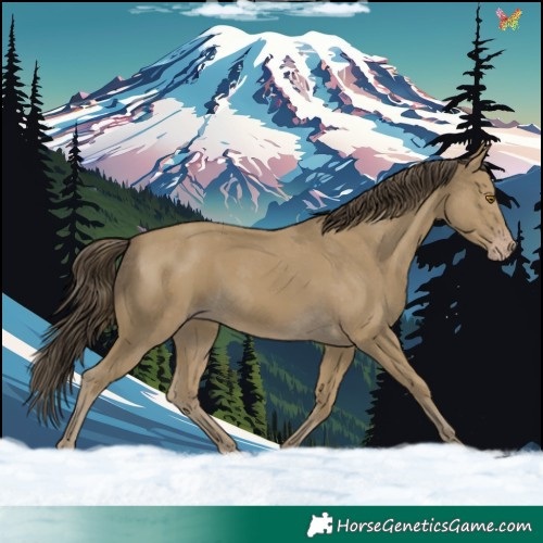 Horse Color:Classic Cream Champagne 