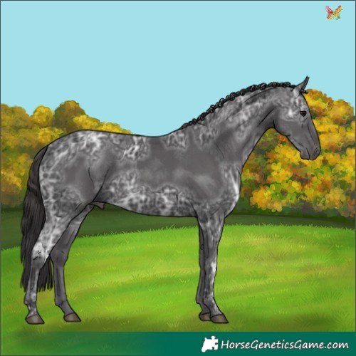 Horse Color:Smoky Black Ice 