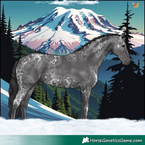Horse Color:Smoky Black Ice 