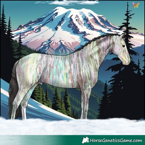 Horse Color:White Spotted Brown Ice 