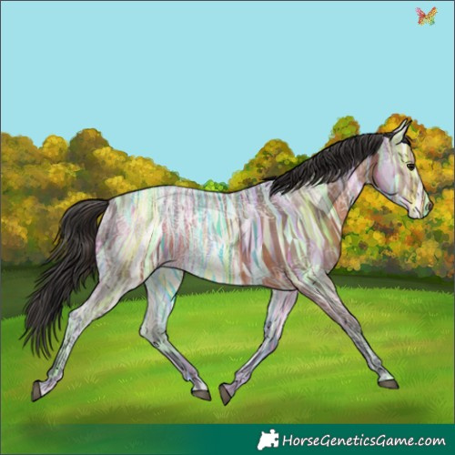 Horse Color:Brown Ice 