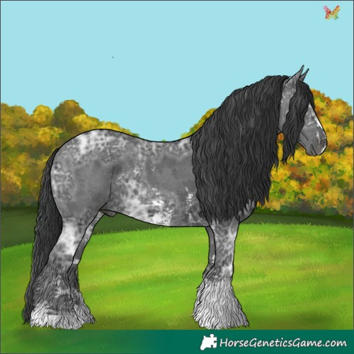 Horse Color:Black Ice Sabino 