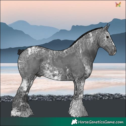 Horse Color:Black Ice Sabino 