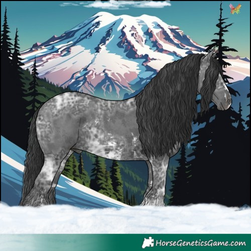 Horse Color:Black Ice Sabino 