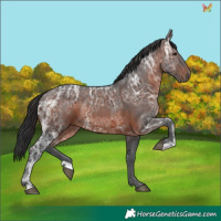 Horse Color:Brown Ice