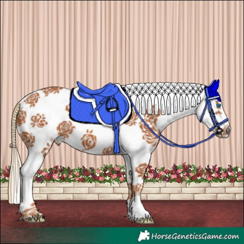 Horse Color:White Spotted Chestnut Frame 