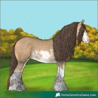 Horse Color:White Spotted Amber Cream Champagne 