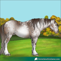 Horse Color:Powder White Gray Amber Champagne Ice Splash Tobiano and Powder White Gray Chestnut Ice Tobiano