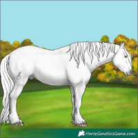 Horse Color:Powder White Gray Amber Champagne Ice Splash Tobiano and Powder White Gray Chestnut Ice Tobiano