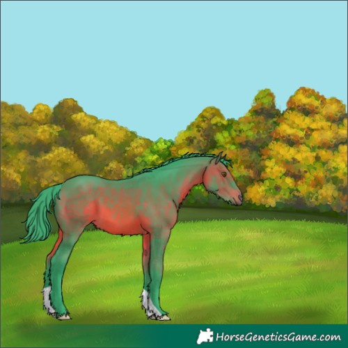 Horse Color:Watercolor Brown 