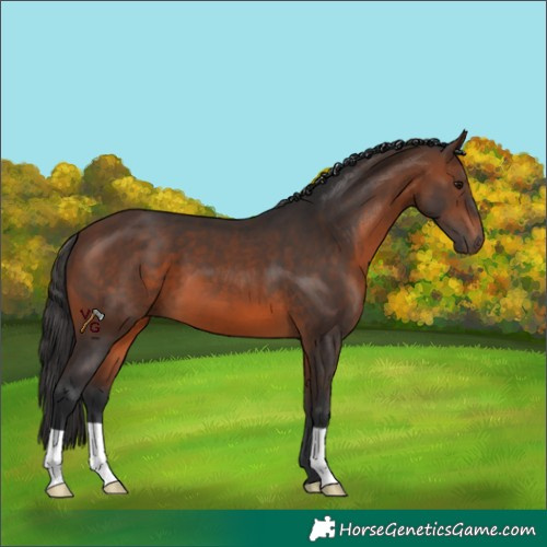 Horse Color:Brown 