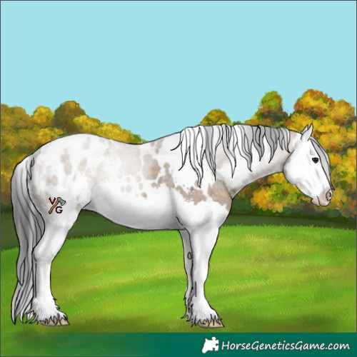 Horse Color:White Spotted Brown Dun Sabino Splash Blanket Rabicano 