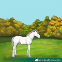 Horse Color:Gray Silver Sable Champagne Ice Pearl Tobiano Near Fewspot Rabicano 
