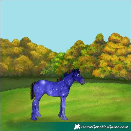 Horse Color:ERROR: UNKNOWN ANOMALY