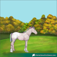 Horse Color:Gray Painted Silver Classic Champagne Ice Pearl Tobiano Snowcap 