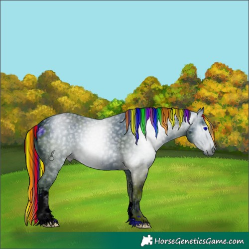 Horse Color:ERROR: UNKNOWN ANOMALY