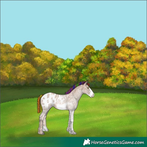 Horse Color:Painted Liver Chestnut Ice Pearl Frame Appaloosa