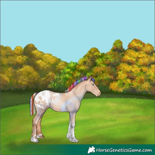 Horse Color:Painted Silver Classic Champagne Pearl Tobiano Appaloosa Rabicano