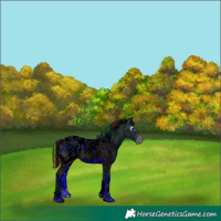 Horse Color:ERROR: UNKNOWN ANOMALY