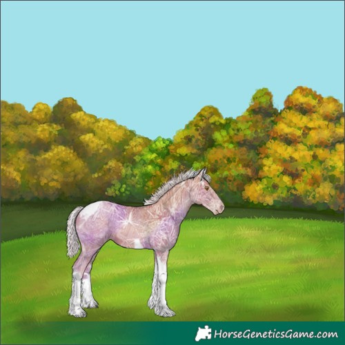 Horse Color:Silver Black Ice Pearl Tobiano