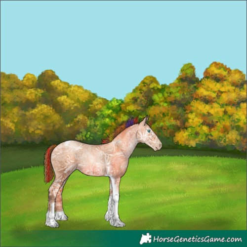 Horse Color:Gray Painted Gold Champagne Ice Pearl Tobiano Rabicano