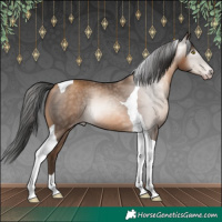 Horse Color:Gray Amber Champagne Tobiano