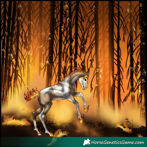 Horse Color:Gray Amber Champagne Dun Tobiano