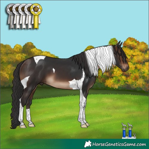 Horse Color:Brown Tobiano 