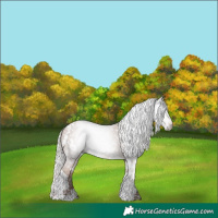 Horse Color:Gray White Spotted Silver Classic Champagne Tobiano Varnish 