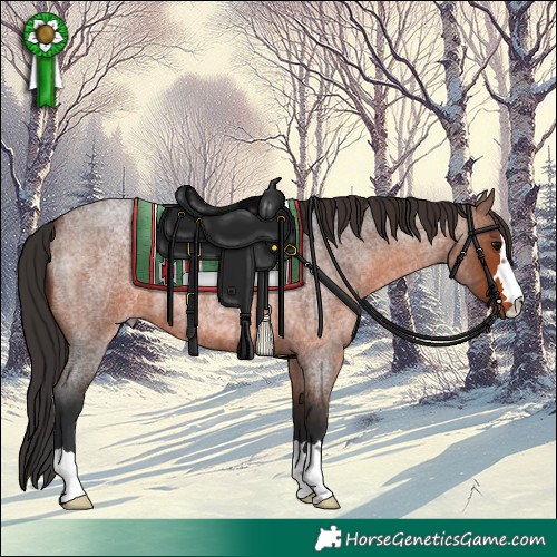 Horse Color:Brown Roan 