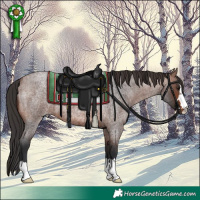 Horse Color:Brown Roan