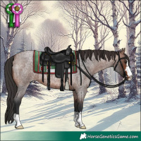 Horse Color:Brown Roan 
