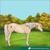 Horse Color:Palomino Pearl