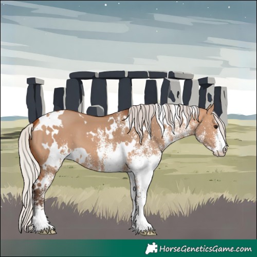 Horse Color:White Spotted Silver Bay Dun 