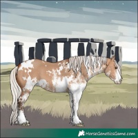 Horse Color:White Spotted Silver Bay Dun 