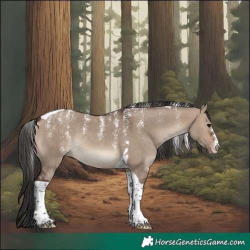 Horse Color:Powder White Brown Dun Tobiano Rabicano 